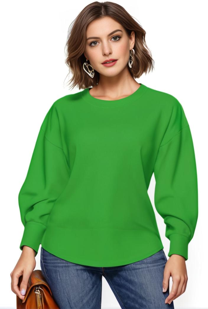 plus size casual blouse women s plus solid button up lantern sleeve turn down collar nipped waist blouse 117848