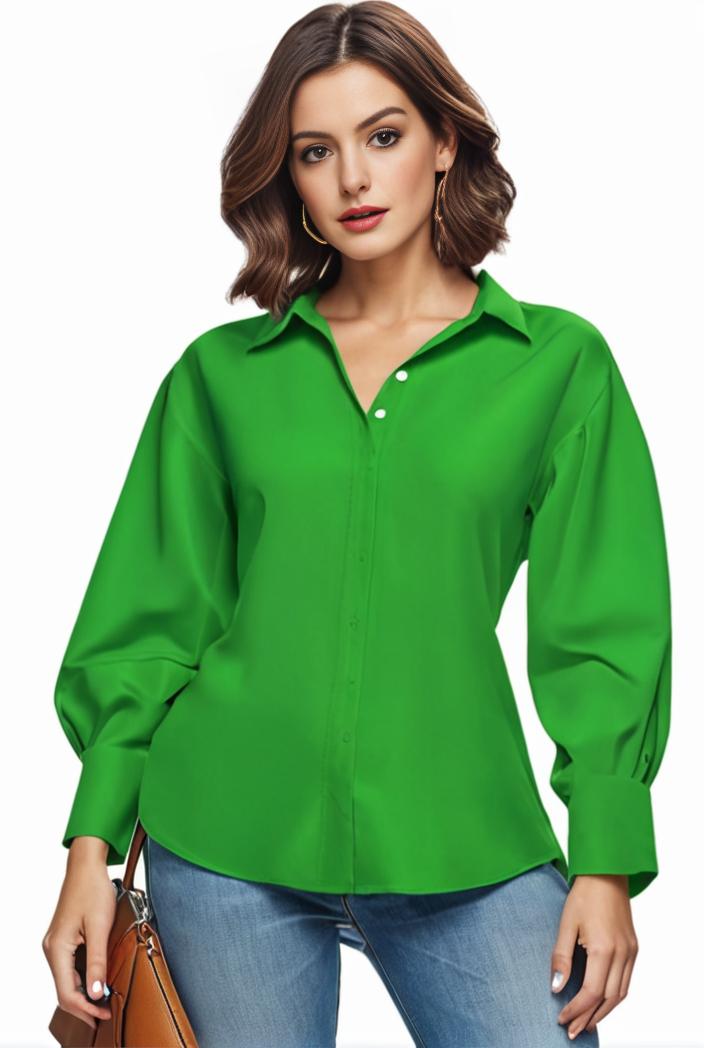 plus size casual blouse women s plus solid button up lantern sleeve turn down collar nipped waist blouse 136469