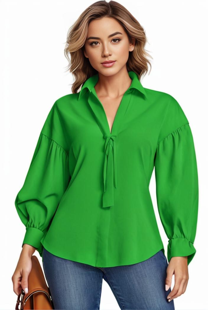 plus size casual blouse women s plus solid button up lantern sleeve turn down collar nipped waist blouse 118628