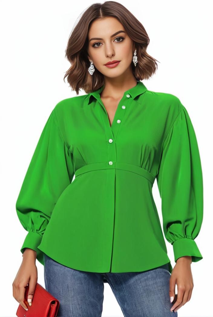 plus size casual blouse women s plus solid button up lantern sleeve turn down collar nipped waist blouse 111184