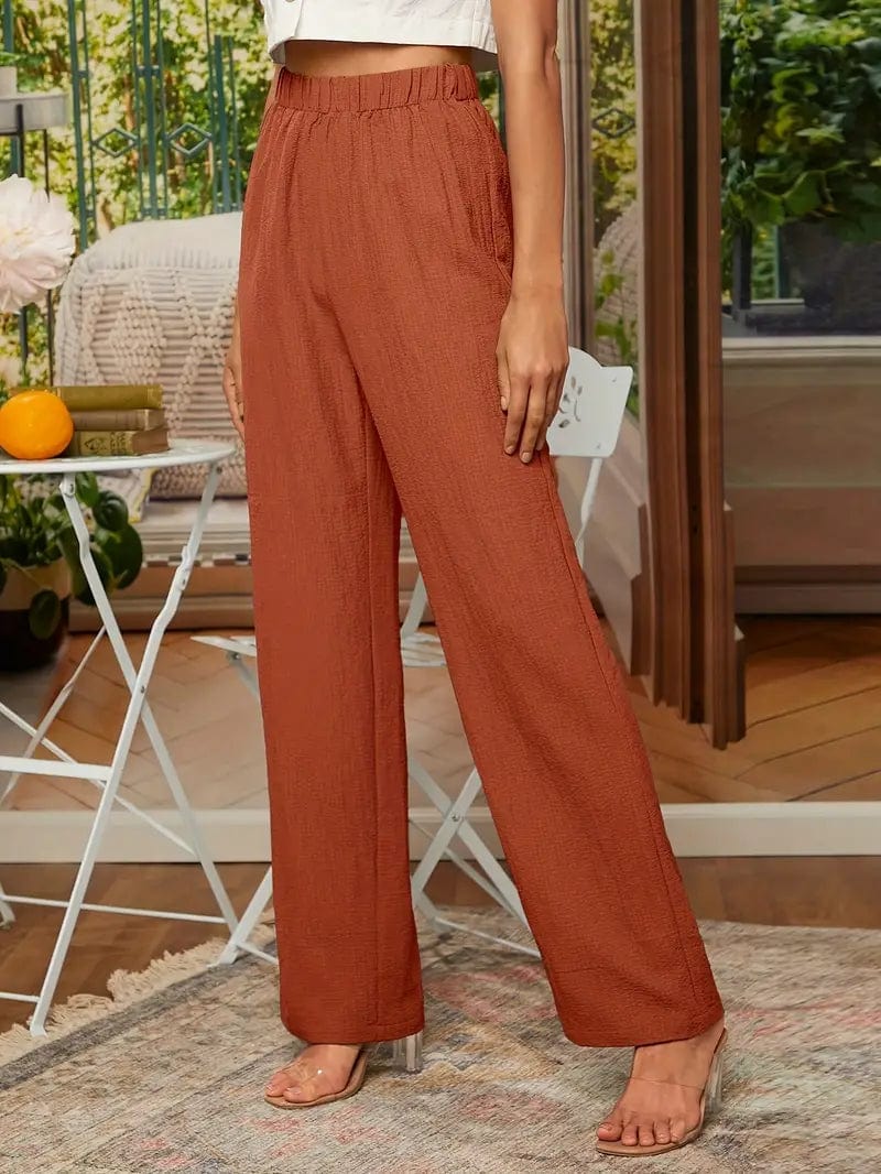 Straight Leg Elastic Waist Pants: Stylish Loose Fit Solid Textured Trousers Ideal for Spring & Autumn, Women's Apparel