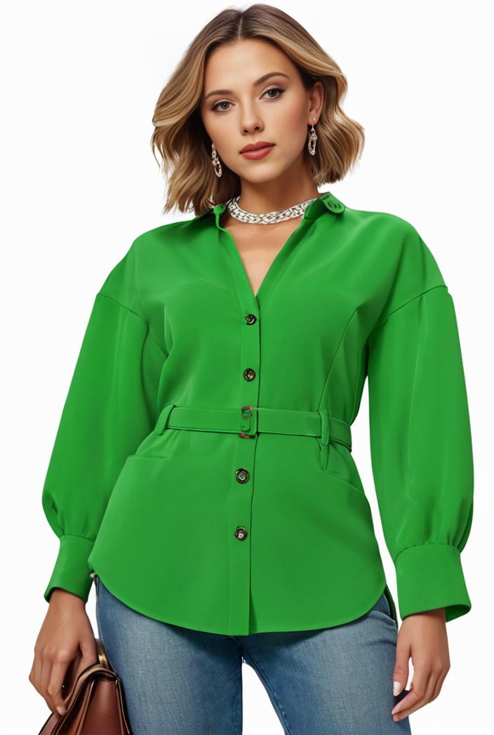 plus size casual blouse women s plus solid button up lantern sleeve turn down collar nipped waist blouse 128925
