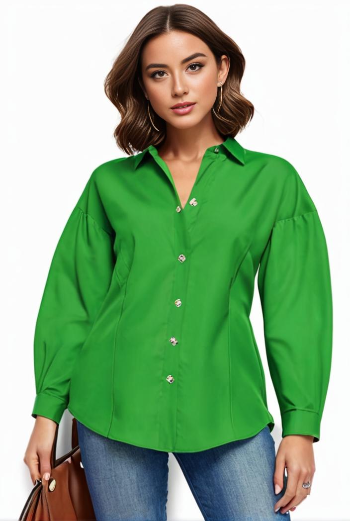 plus size casual blouse women s plus solid button up lantern sleeve turn down collar nipped waist blouse 108222