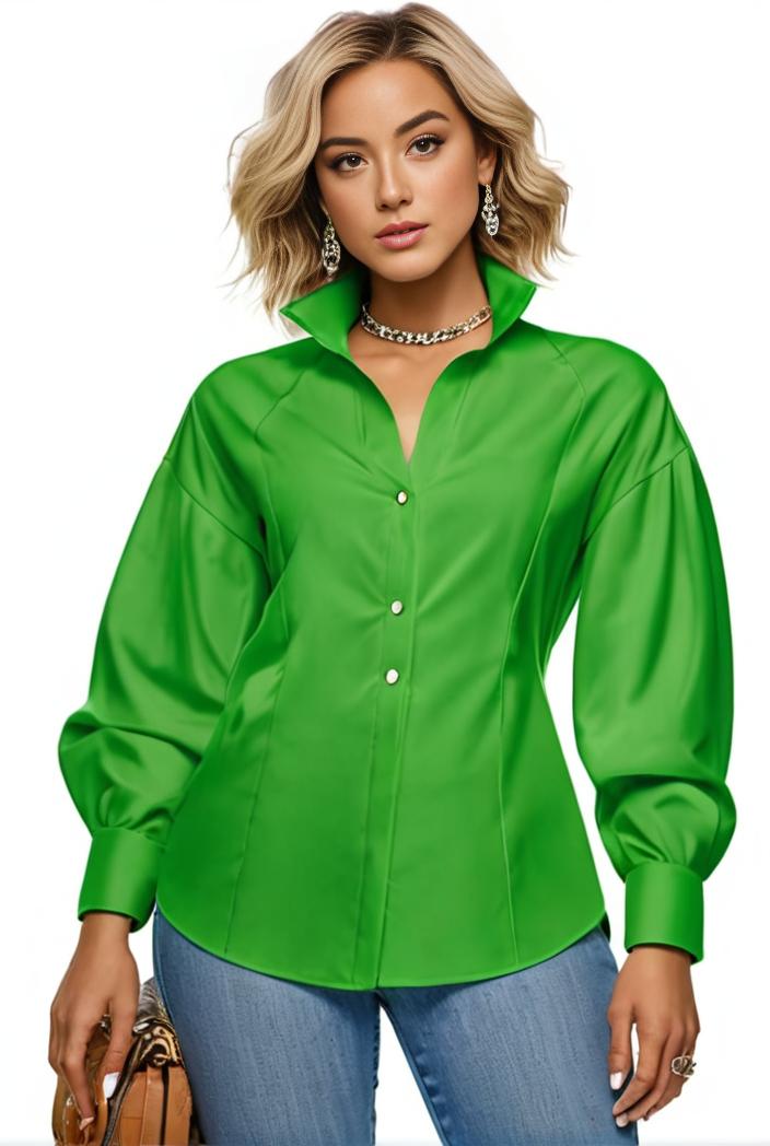 plus size casual blouse women s plus solid button up lantern sleeve turn down collar nipped waist blouse 108227