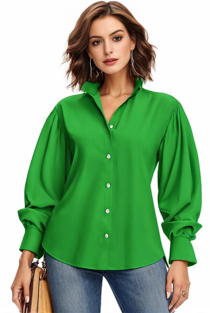 plus size casual blouse women s plus solid button up lantern sleeve turn down collar nipped waist blouse 142504