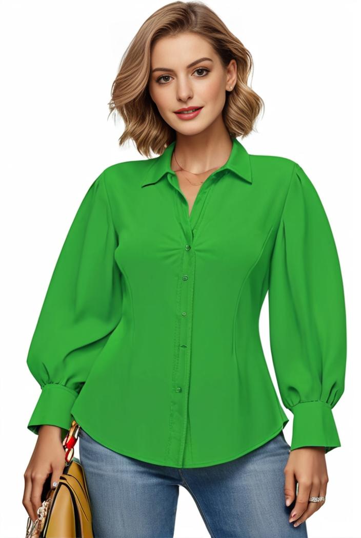 plus size casual blouse women s plus solid button up lantern sleeve turn down collar nipped waist blouse 142505