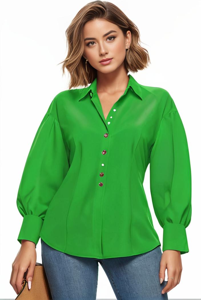 plus size casual blouse women s plus solid button up lantern sleeve turn down collar nipped waist blouse 118626