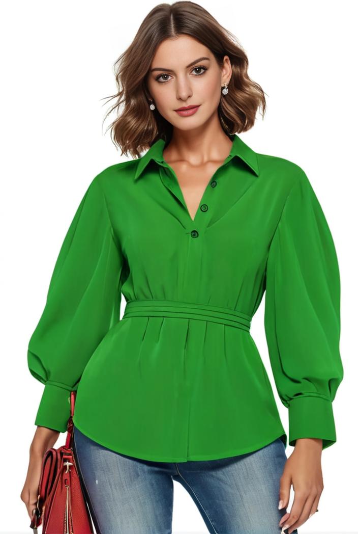 plus size casual blouse women s plus solid button up lantern sleeve turn down collar nipped waist blouse 111186