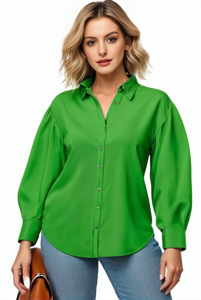 plus size casual blouse women s plus solid button up lantern sleeve turn down collar nipped waist blouse 108609
