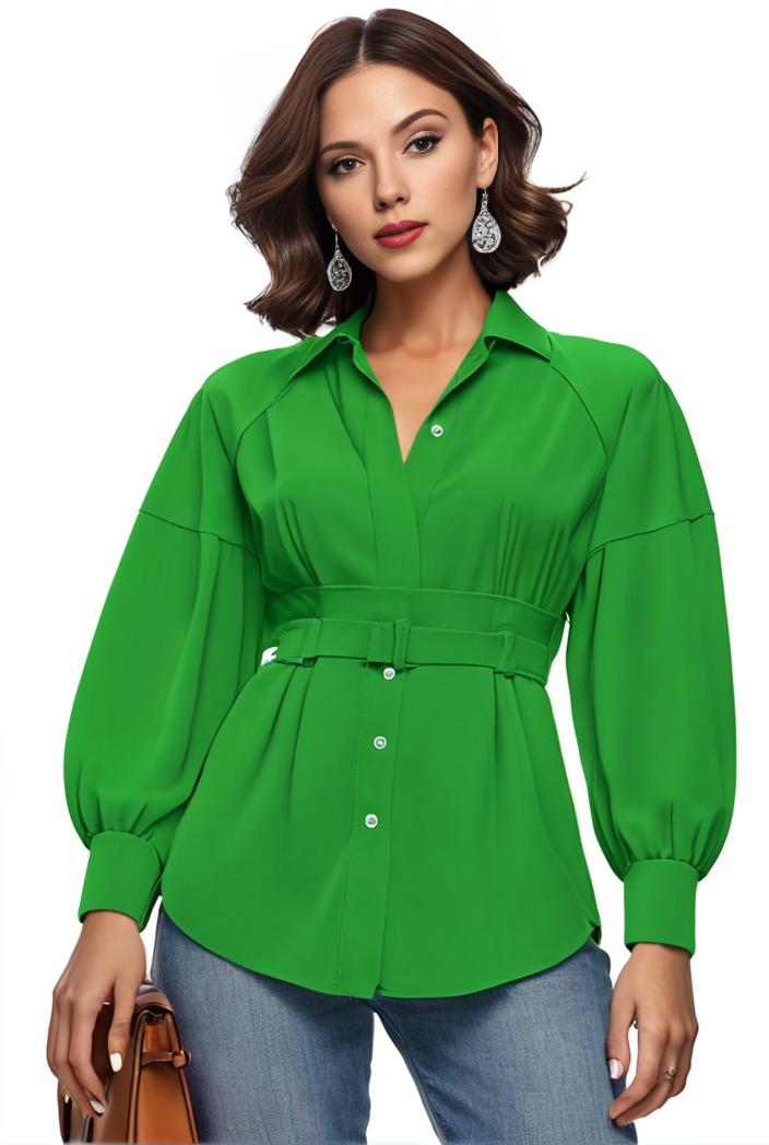 plus size casual blouse women s plus solid button up lantern sleeve turn down collar nipped waist blouse 138096