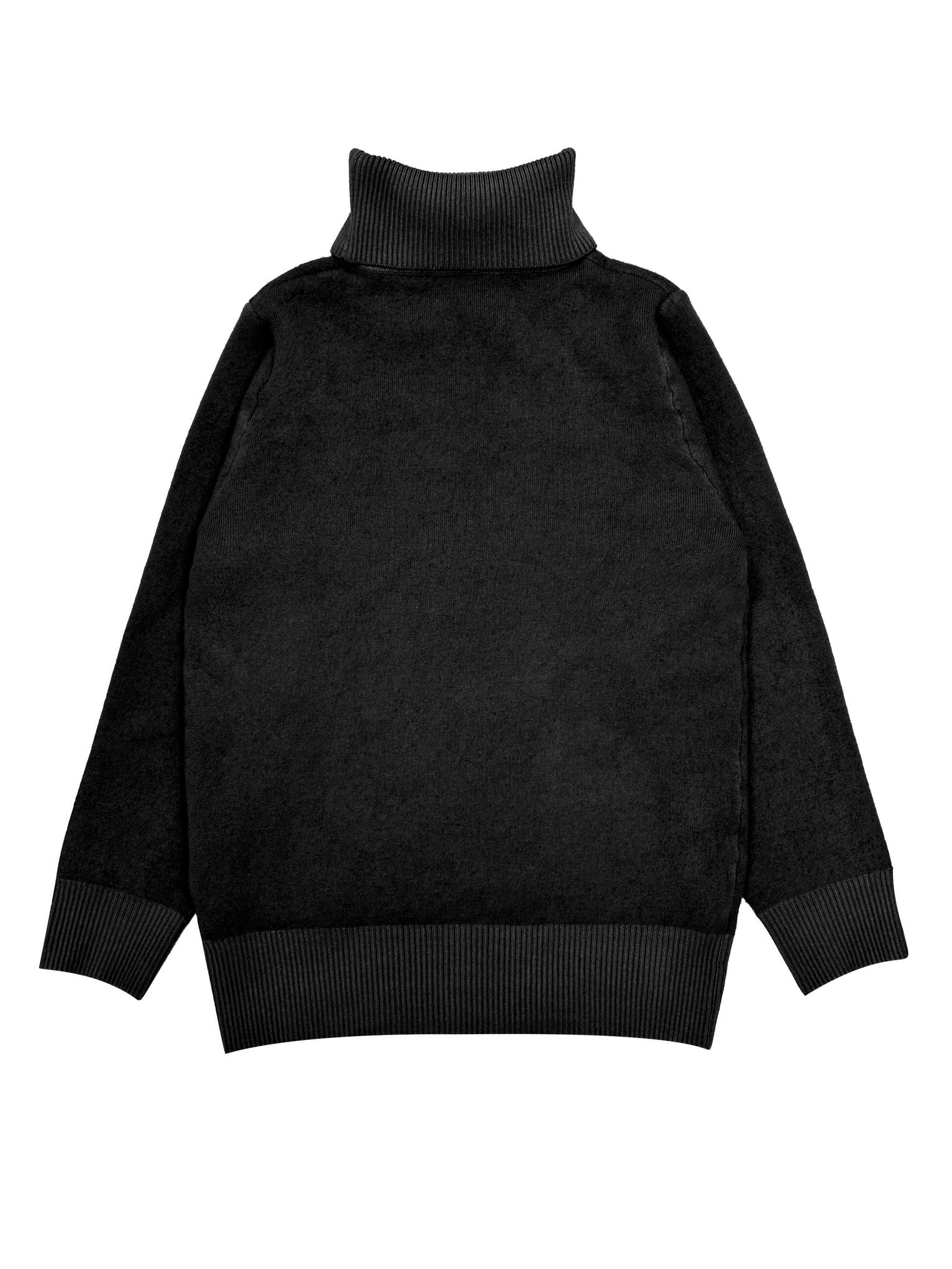 Solid Cozy Turtle Neck Long Sleeve Pullover Sweater