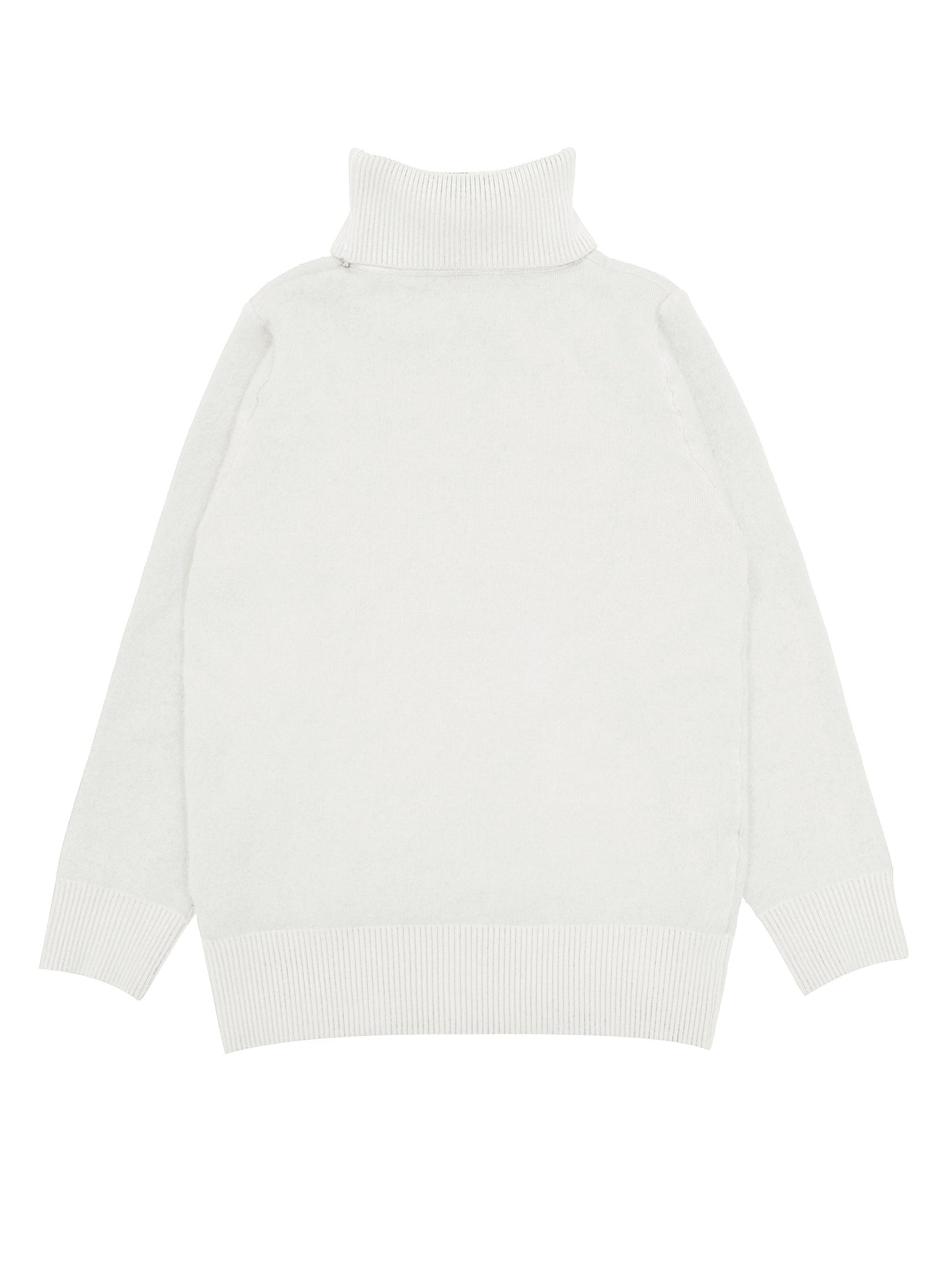 Solid Cozy Turtle Neck Long Sleeve Pullover Sweater