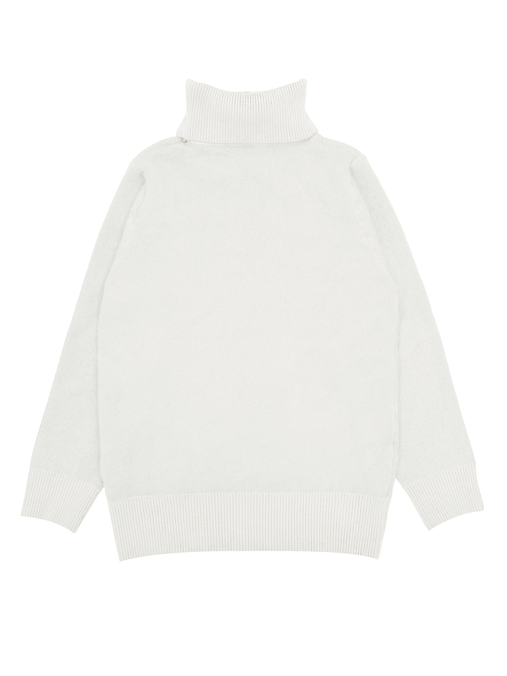 Solid Cozy Turtle Neck Long Sleeve Pullover Sweater