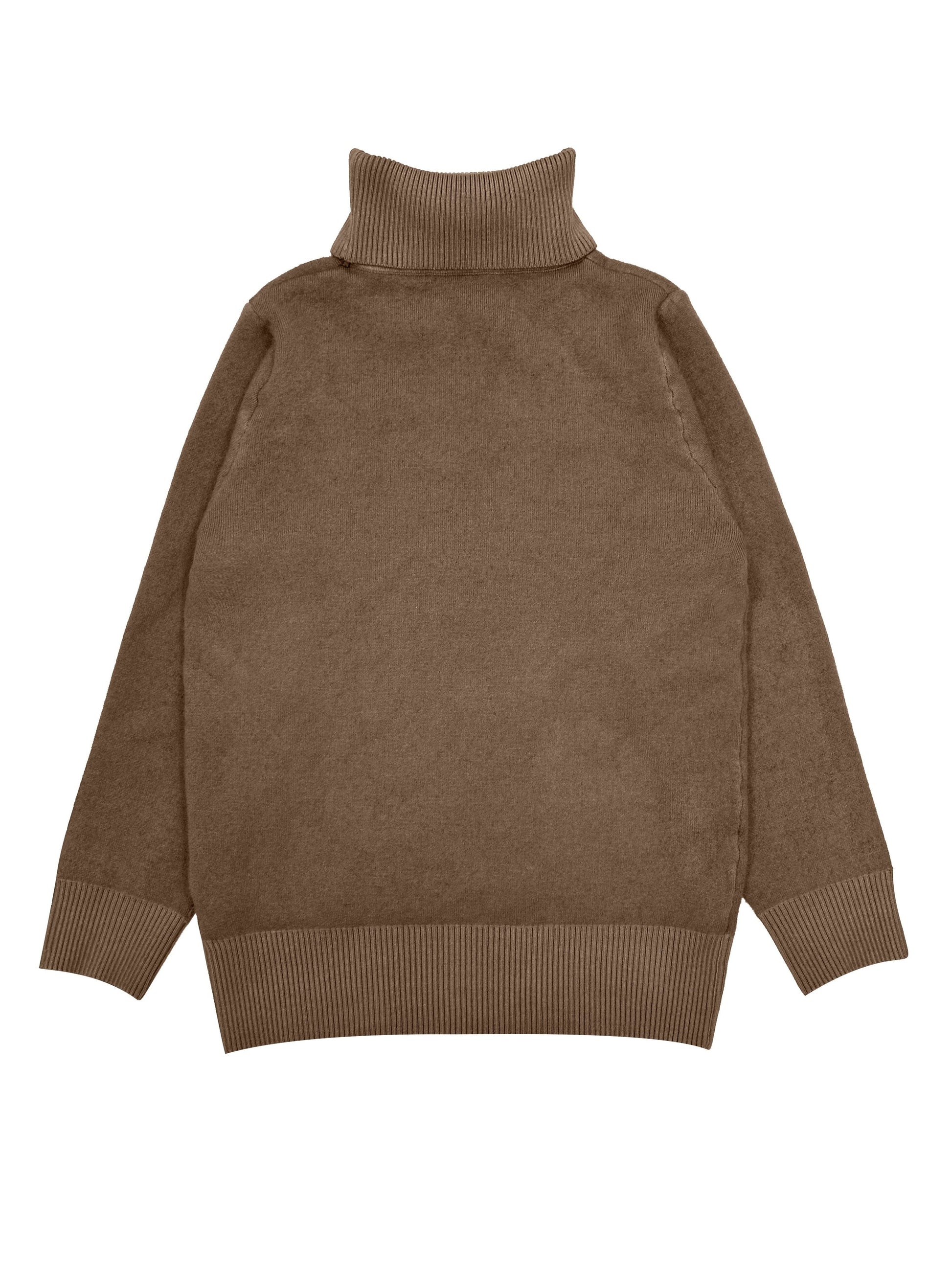 Solid Cozy Turtle Neck Long Sleeve Pullover Sweater
